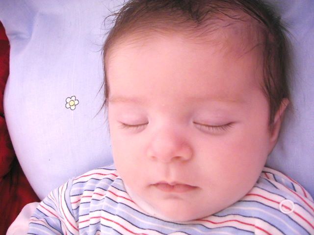 PIC_0050.JPG