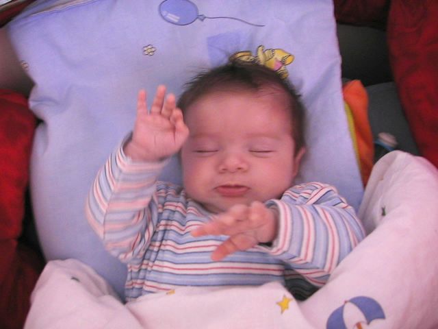 PIC_0052.JPG
