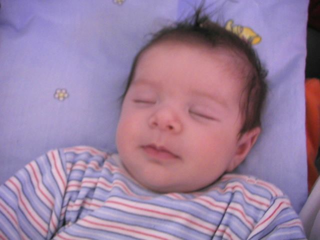 PIC_0058 - Kopie.JPG